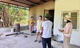 Đàn chó nghi mắc dại cắn liên tiếp 6 người dân