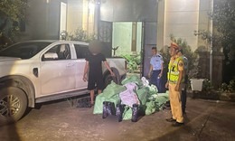Phát hiện xe bán tải vận chuyển 220 bình khí cười ở Móng Cái