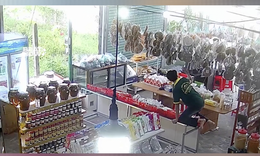 Rắn lớn bất ngờ ‘đột nhập’ cửa hàng đặc sản, 2 nhân viên bỏ chạy tán loạn