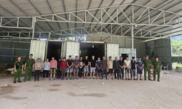 Khởi tố 18 người liên quan vụ vận chuyển hơn 5,3 tấn chân giò lợn đông lạnh qua biên giới
