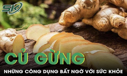 Củ gừng và những công dụng bất ngờ với sức khỏe
