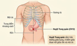 Xoa bóp bấm huyệt hỗ trợ người bệnh dạ dày