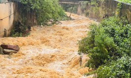 Mưa lớn từ đêm nay, Chính phủ yêu cầu bảo đảm an toàn cho người dân