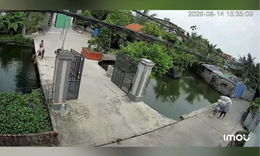 Bé trai rơi xuống ao chới với, bé gái chạy đi gọi người cứu 