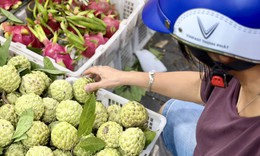 Tiểu thương bật mí na Đồng Bành bán đầy thị trường với giá rẻ như cho