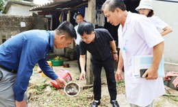Mưa nắng thất thường, nguy cơ sốt xuất huyết lan rộng