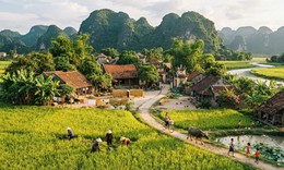 Thủ tục cấp giấy chứng nhận quyền sử dụng đất trước ngày 1/8/2024