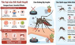Từ 15/8 đến 15/9 tổ chức Tháng cao điểm phòng, chống sốt xuất huyết