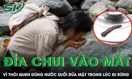 Rửa mặt bằng nước suối, đỉa dài 2 cm chui vào mắt