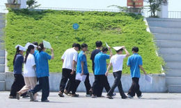 Điểm thi lại tại chuyên Tuyên Quang giảm mạnh tất cả các môn, không có điểm 10