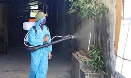 Hà Nội phát động tháng cao điểm siết chặt phòng chống sốt xuất huyết