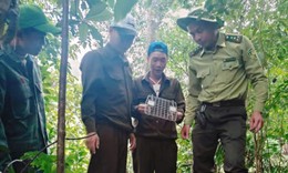 Những loài động vật quý hiếm nào vừa được thả về rừng Phong Nha?