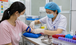 Giảm tiểu cầu khi mắc sốt xuất huyết mức nào gây nguy hiểm?