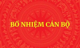 Bổ nhiệm Trợ lý Phó Thủ tướng Hồ Quốc Dũng
