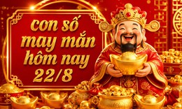 Con số may mắn hôm nay 22/8 - số tài lộc 12 con giáp theo năm sinh