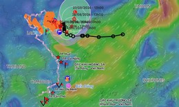 Chủ động ứng phó bão số 4, bảo đảm an toàn học sinh trước năm học