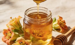 Hoa đu đủ đực ngâm mật ong: dùng sai cách bỏ lỡ cơ hội điều trị