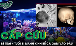 Bé trai 4 tuổi bị mảnh kính bể cá găm vào đầu