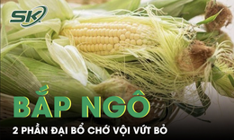 Những giá trị dinh dưỡng bất ngờ từ bắp ngô