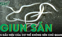 5 dấu hiệu cảnh báo cơ thể đầy giun sán không thể chủ quan