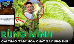 Rùng mình cải thảo ‘tắm’ hóa chất gây ung thư