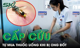 Bị ong đốt, người phụ nữ tự mua thuốc uống rồi nhập viện cấp cứu