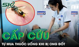 Người phụ nữ tử vong vì bị đàn ong vò vẽ tấn công 