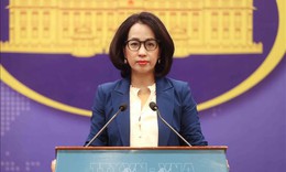 Việt Nam kiên quyết phản đối mọi hoạt động của nước ngoài tại đá Hải Sâm và đảo Ba Ba