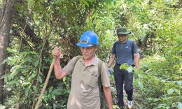 Cựu binh 77 tuổi dẫn đường tìm 3 hài cốt đồng đội giữa rừng sâu