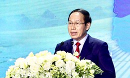 Phó Thủ tướng: Giảm 50% thời gian, chi phí thủ tục phải đo bằng thực tế