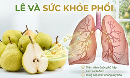 Ăn mấy quả lê mỗi ngày để tốt cho phổi khi thời tiết giao mùa?