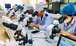 Sắp xếp tinh gọn cơ sở đào tạo y tế phải lấy an toàn người bệnh làm thước đo