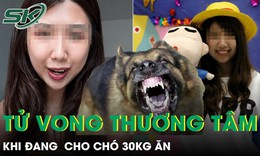 Bị chó tấn công khi đang cho ăn, người phụ nữ 33 tuổi tử vong thương tâm
