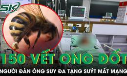 Đi bắt cá bị ong vò vẽ đốt 150 vết, người đàn ông suy đa tạng suýt mất mạng 