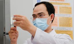 Nhiều người phải đi tiêm phòng dại, xử trí thế nào khi bị chó, mèo cắn?