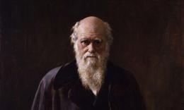Một dự đoán của Charles Darwin vừa được khoa học xác minh sau hơn 150 năm