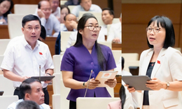 ĐBQH hiến kế hoàn thiện quy định cấm kinh doanh khí N2O, tránh ảnh hưởng doanh nghiệp hợp pháp