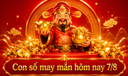 Con số may mắn hôm nay 7/8 - số cát lành - số tài lộc 12 con giáp