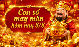 Con số may mắn hôm nay 8/8 -  số tài lộc 12 con giáp theo năm sinh