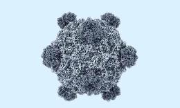 Mỹ tạo 16 loại virus chưa từng có ngoài tự nhiên bằng AI