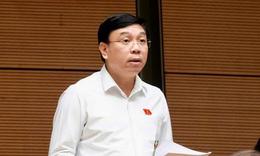 ĐBQH đề nghị siết quản lý xuất bản phẩm điện tử, tránh lưu chiểu hình thức