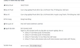 PAK Việt Nam vi phạm công bố thông tin về trái phiếu