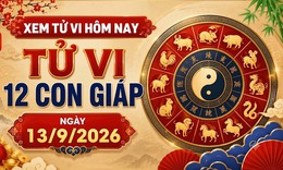 Tử vi 12 con giáp hôm nay 13/9: Ngọ yên bình, Dần tài chính tươi sáng