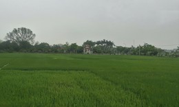 Các mức phạt khi cho thuê đất được nhà nước giao hoặc công nhận sai quy định