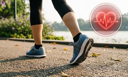 Điều gì xảy ra với cơ thể khi không đi bộ thường xuyên?