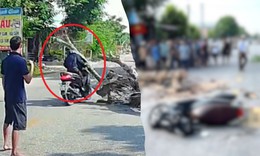 Vụ cưa cây làm chết người: Gia đình nạn nhân xin giảm nhẹ cho người liên quan