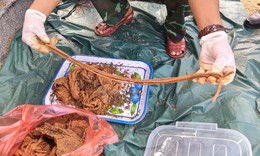 Nhiều di vật được tìm thấy tại mộ tập thể ở xã Thu Bồn
