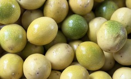 Loại quả được ví là ‘vua chất xơ’ bán đầy chợ Việt giá vài chục nghìn đồng/kg, chị em thi nhau mua