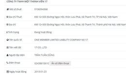 Công ty TNHH MTV 17 vi phạm chứng khoán