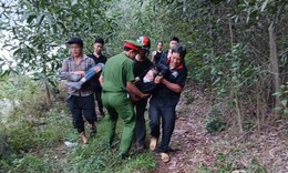 Người phụ nữ sốc phản vệ độ 3 vì bị đàn ong vò vẽ tấn công